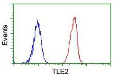 Flow Cytometry: TLE2 Antibody (OTI5A6) [NBP2-01733]
