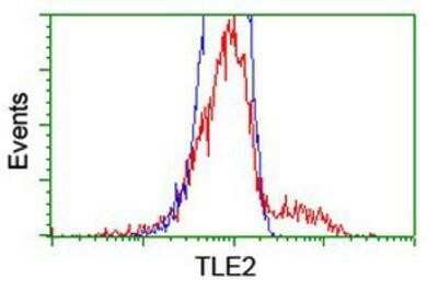 Flow Cytometry: TLE2 Antibody (OTI5A6) [NBP2-01733]