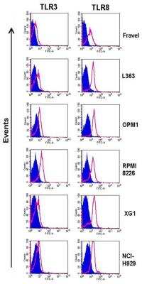 Flow Cytometry: TLR (Intracellular) Screening Antibody Pack [NBP2-25085]
