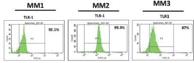 Flow Cytometry: TLR1 Antibody [NB100-56563]