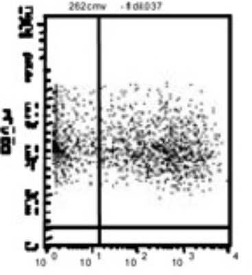 Flow Cytometry: TLR10 Antibody (25F9) [DDX0490P-100]