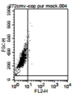 Flow (Intracellular): TLR10 Antibody (25F9) [DDX0490P-100]