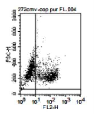 Flow (Intracellular): TLR10 Antibody (25F9) [DDX0490P-100]