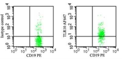 Flow (Cell Surface): TLR10 Antibody (3C10C5) - Azide and BSA Free [NBP2-27214]