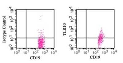 Flow Cytometry: TLR10 Antibody (3C10C5) - Azide and BSA Free [NBP2-27214]