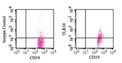 Flow Cytometry: TLR10 Antibody (3C10C5) [NBP1-70343]