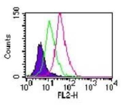Flow Cytometry: TLR11 Antibody [NB100-56742]