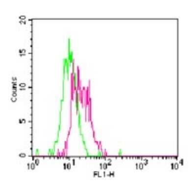 Flow Cytometry: TLR11 Antibody [NB100-56742]
