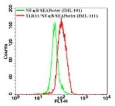 Flow Cytometry: TLR11 Antibody [NB100-56742]