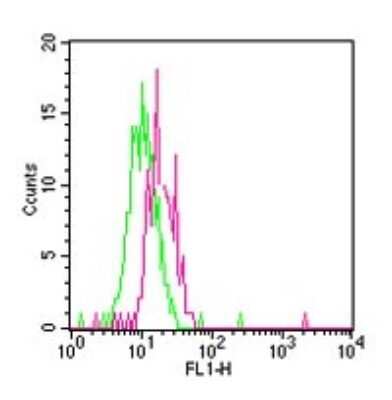 Flow Cytometry: TLR12 Antibody [NBP2-24833]