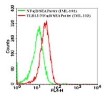 Flow Cytometry: TLR13 Antibody [NBP2-24539]