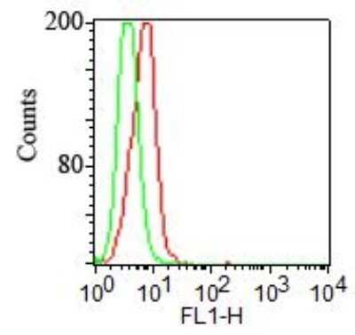 Flow (Cell Surface): TLR2 Antibody (67N8F8) [NBP2-25245]