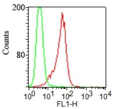 Flow (Cell Surface): TLR2 Antibody (TL2.1) - Azide Free [NB100-56726]