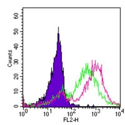 Flow Cytometry: TLR2 Antibody (TL2.1) - Azide Free [NB100-56726]