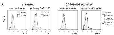 Flow Cytometry: TLR2 Antibody (TL2.1) - BSA Free [NB100-56722]