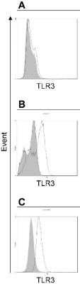 Flow Cytometry: TLR3 Antibody (40C1285.6) - Azide Free [NBP2-33263]