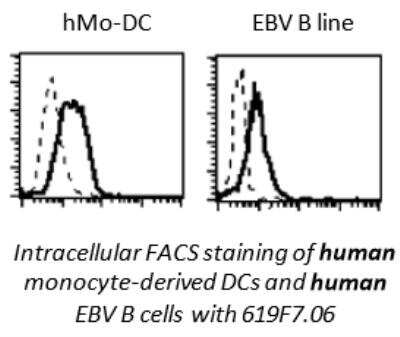 Flow Cytometry: TLR3 Antibody (619F7.06) [DDX0470P-100]