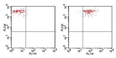 Flow Cytometry: TLR4 Antibody (76B357.1) - Azide Free [NBP2-27149]