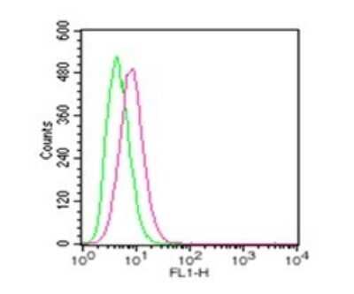 Flow Cytometry: TLR4 Antibody [NBP2-24821]