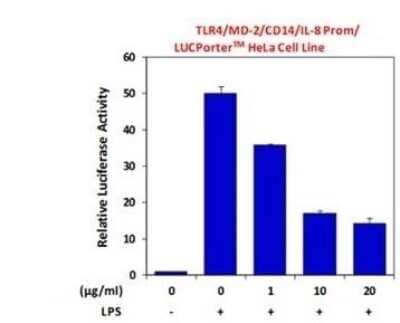 Flow (Cell Surface): TLR4 Antibody (HTA125) - Azide and BSA Free [NB100-56727]