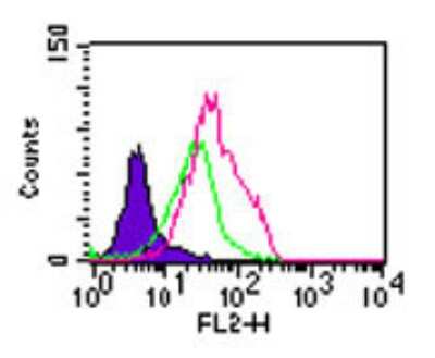 Flow Cytometry: TLR5 Antibody [NBP2-24827]