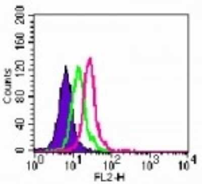 Flow (Intracellular): TLR6 Antibody (86B1153.2) - BSA Free [NB100-56536]