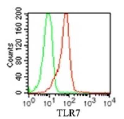 Flow Cytometry: TLR7 Antibody (4G6) - Azide and BSA Free [NBP2-80982]