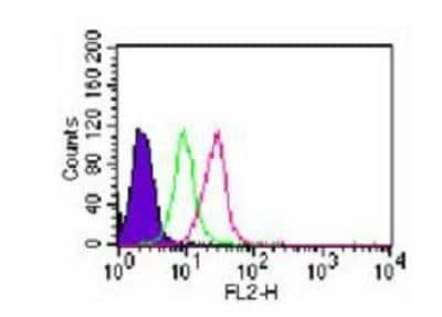 Flow Cytometry: TLR7 Antibody [NB100-56588]