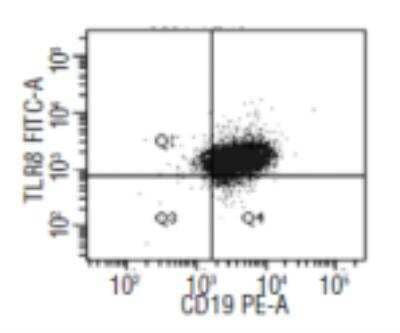 Flow Cytometry: TLR8 Antibody (303F1.14) [DDX0480P-100]