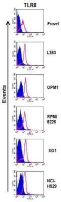 Flow Cytometry: TLR8 Antibody (44C143) - Azide and BSA Free [NBP2-77073]