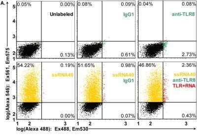 Flow Cytometry: TLR8 Antibody (44C143) - Azide and BSA Free [NBP2-77073]