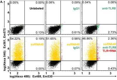 Flow Cytometry: TLR8 Antibody (44C143) - BSA Free [NBP2-24917]