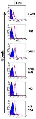 Flow Cytometry: TLR8 Antibody (44C143) - BSA Free [NBP2-24917]