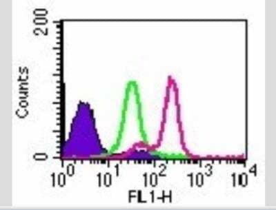 Flow Cytometry: TLR9 Antibody (26C593.2) - Azide Free [NBP2-24863]