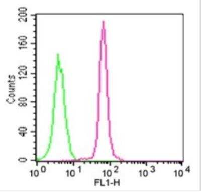 Flow Cytometry: TLR9 Antibody (26C593.2) - Azide Free [NBP2-24863]
