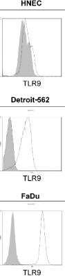 Flow Cytometry: TLR9 Antibody (26C593.2) - BSA Free [NBP2-24729]