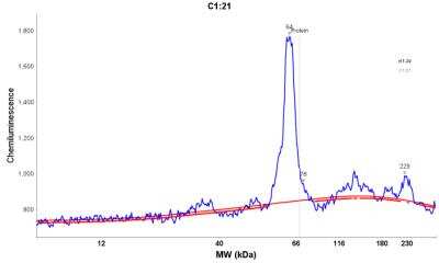 Simple Western: TM9SF4 Antibody [NBP2-32382]