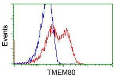 Flow Cytometry: TMEM80 Antibody (OTI3A6) [NBP2-02750]