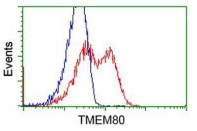 Flow Cytometry: TMEM80 Antibody (OTI3A6) - Azide and BSA Free [NBP2-74546]