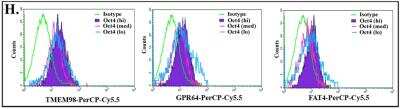 Flow Cytometry: TMEM98 Antibody [NBP1-84154]