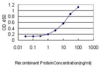 ELISA: TMEPAI Antibody (2A12) [H00056937-M01]