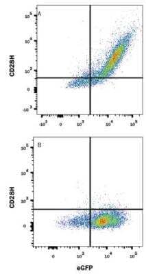 Flow Cytometry: TMIGD2 Antibody (953730) - Azide and BSA Free [MAB83161]