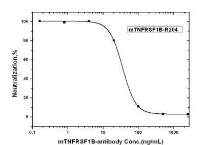 Neutralization: TNF RII/TNFRSF1B Antibody (R204) [NBP2-89536]