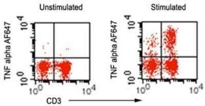 Flow Cytometry: TNF-alpha Antibody (6N1E7) - Azide Free [NBP2-27224]