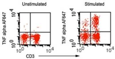 Flow Cytometry: TNF-alpha Antibody (6N1E7) [NBP2-27223]