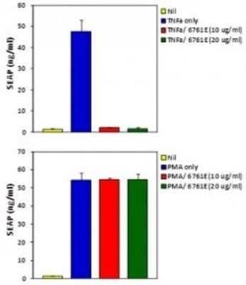 Inhibition Activity: TNF-alpha Antibody (6N1E7) [NBP2-27223]