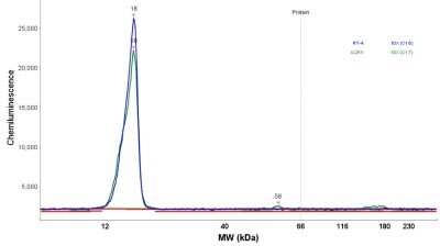 Simple Western: TOMM20 Antibody [NBP1-81556]