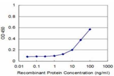 ELISA: TOPORS Antibody (6E7) [H00010210-M12]