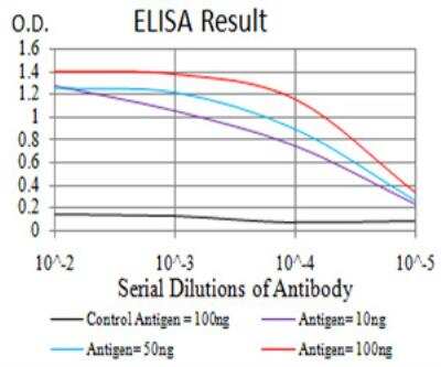 ELISA: TOR/mTOR Antibody (8H5A5) - BSA Free [NBP2-52513]