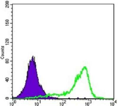Flow Cytometry: TORC1 Antibody (1B5) - BSA Free [NBP1-51631]